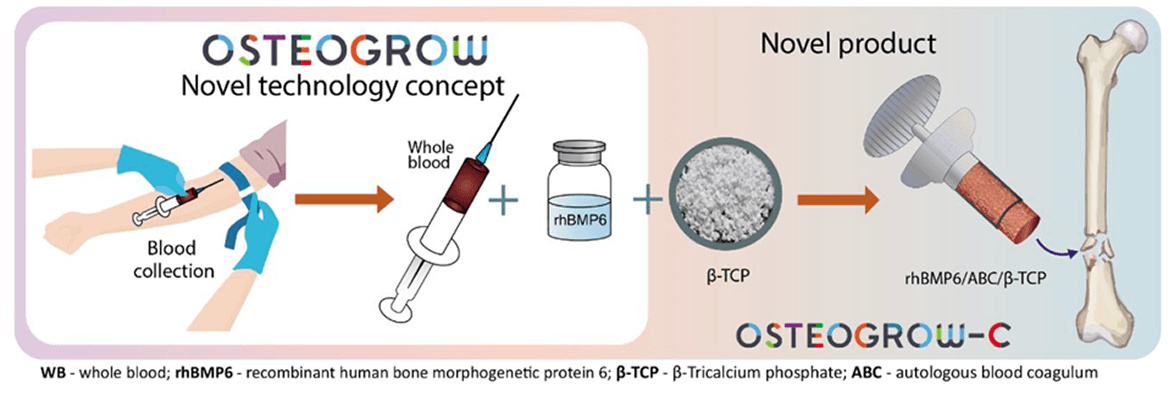 Project summary image